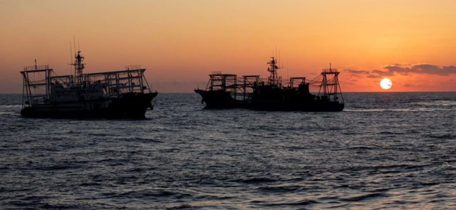 China, the Philippines and claims of damaged coral reefs: An environmental issue or something more?