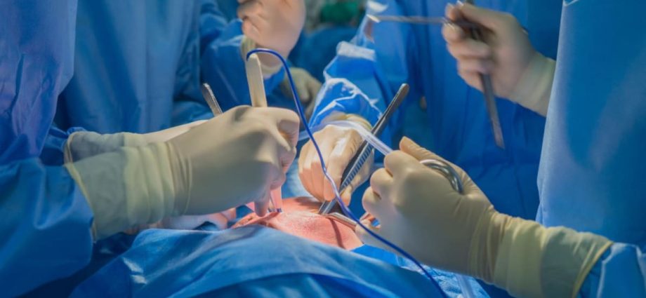 Commentary: Why aren’t more families donating their loved ones’ organs?