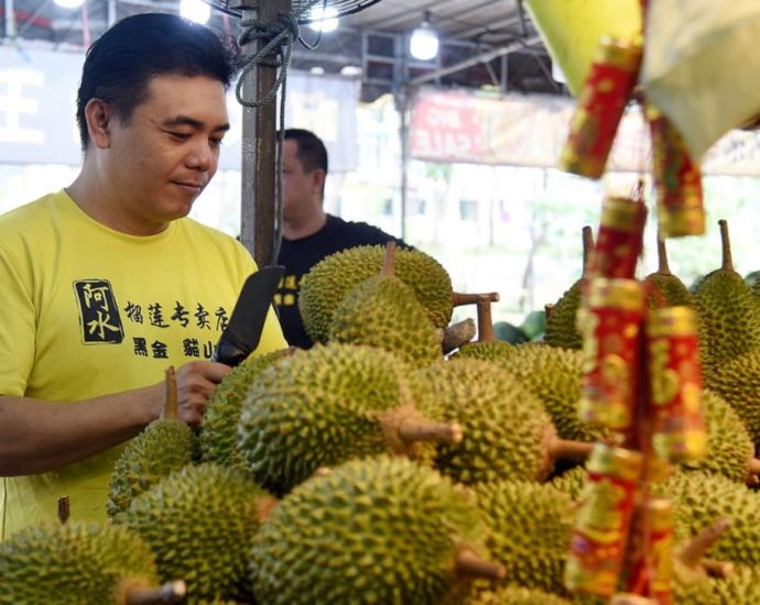 Durian supply down by 20% due to rainy weather, but prices stable for now