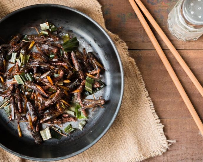 FAQ: Eating insects – what you need to know, from allergies, nutrition and halal status