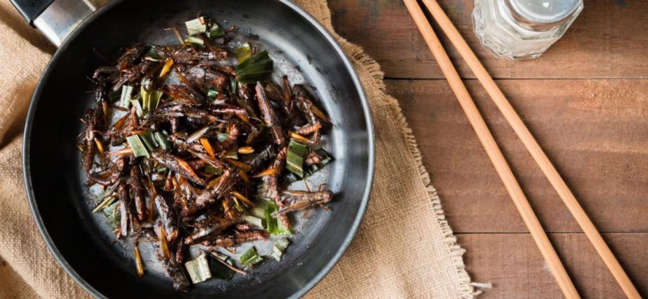 FAQ: Eating insects – what you need to know, from allergies, nutrition and halal status