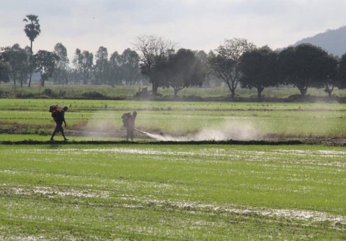 Fertiliser subsidy hurts farmers, say MPs