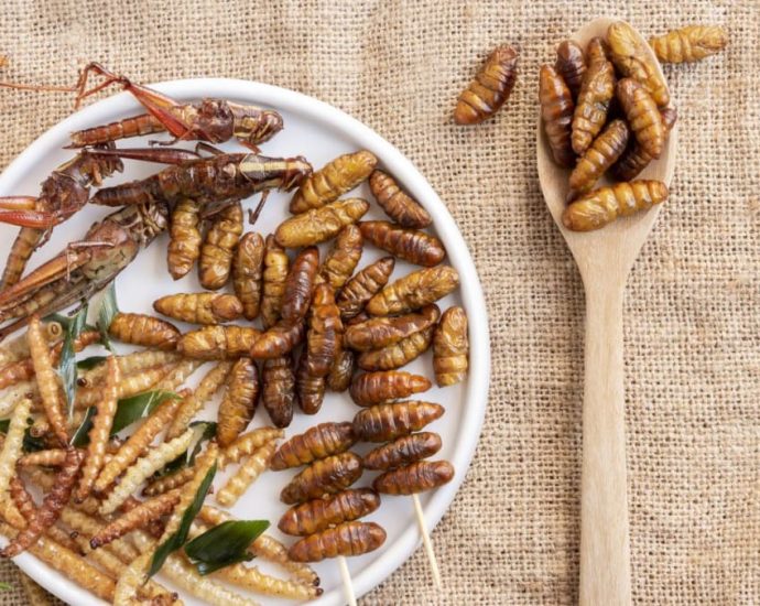 Grasshoppers and superworms among 16 insect species approved as food in Singapore