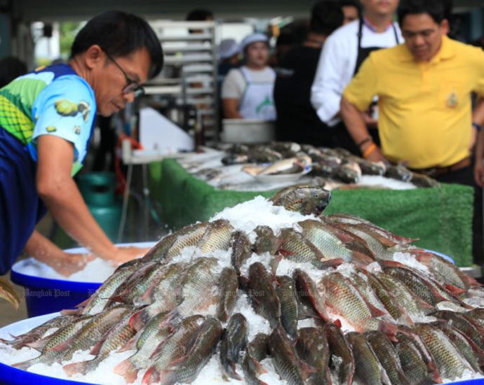 Groups demand urgent action on “alien fish” saga