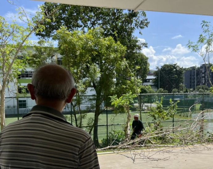 ‘Heartbreaking’: Residents lament chopping down of ‘unauthorised’ trees at Aljunied HDB block