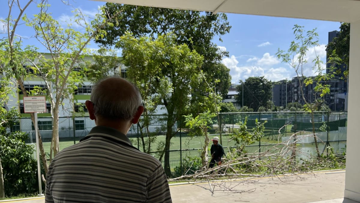 'Heartbreaking': Residents lament chopping down of 'unauthorised' trees at Aljunied HDB block
