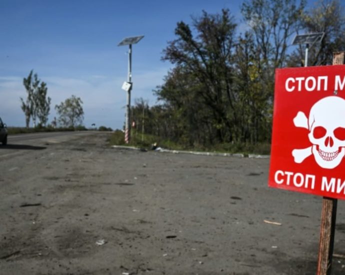 Japan, Cambodia to help remove landmines from Ukraine