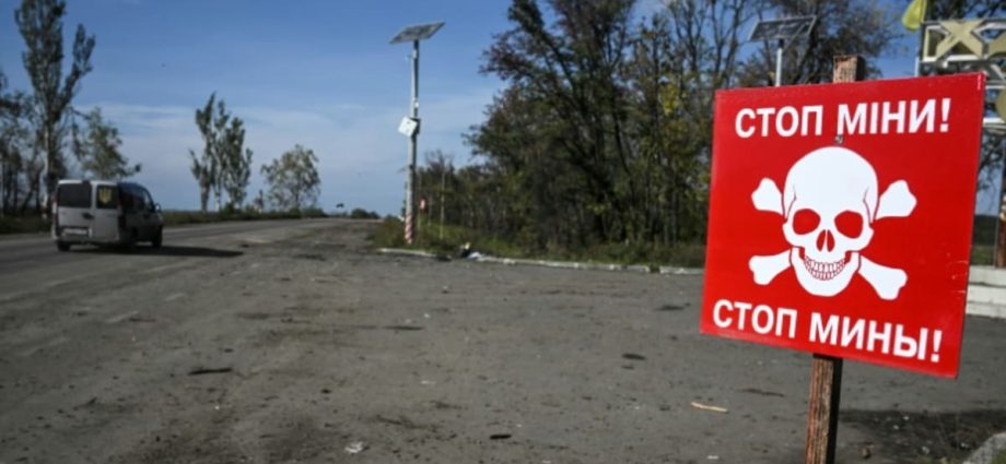 Japan, Cambodia to help remove landmines from Ukraine