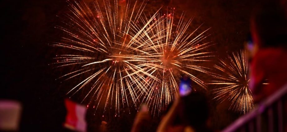NDP 2024: Heartland celebrations sites announced for Singapore’s 59th birthday