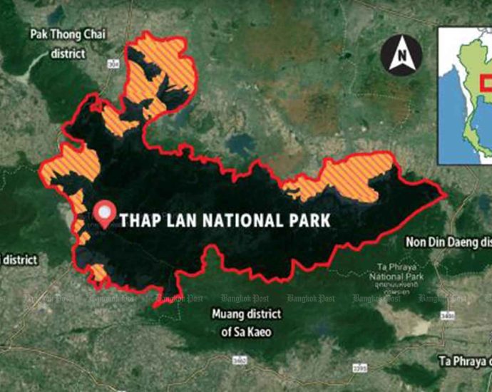 Rage over plan to raze Thai national park for farming