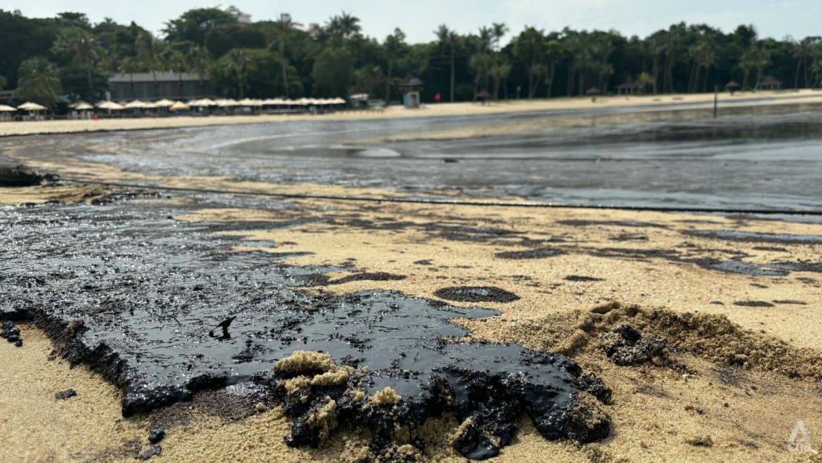 Rental deferral measures in the works to help businesses affected by oil spill on ‘case-by-case basis’: Grace Fu
