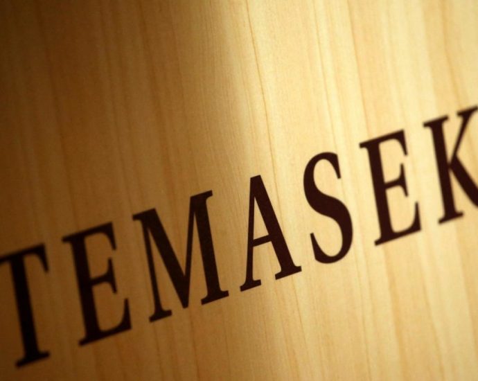 Temasek aims to invest up to US billion in India as China weighs