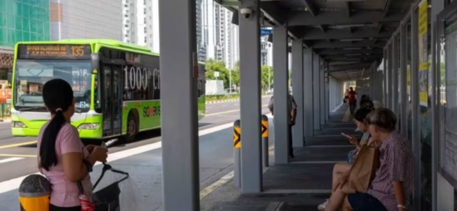 Video screens showing approaching buses may be installed at problematic stop opposite Parkway Parade