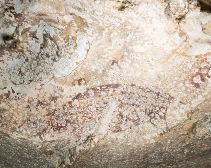 World’s oldest cave painting in Indonesia shows a pig and people