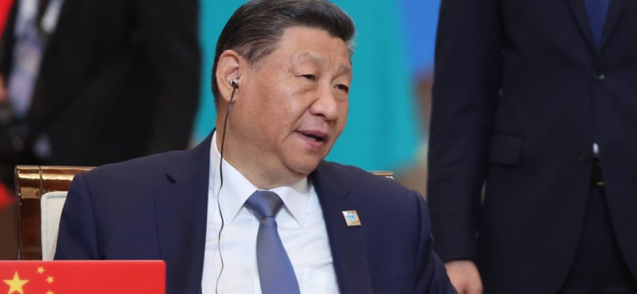 Xi Jinping tells leaders at Central Asia summit to 'resist external interference'