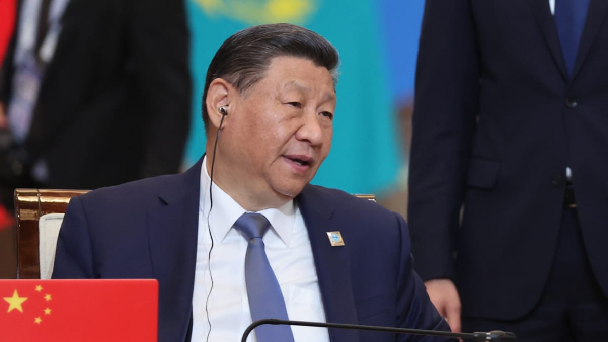 Xi Jinping tells leaders at Central Asia summit to 'resist external interference'