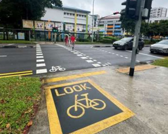 11km of cycling paths between Choa Chu Kang and Yew Tee completed