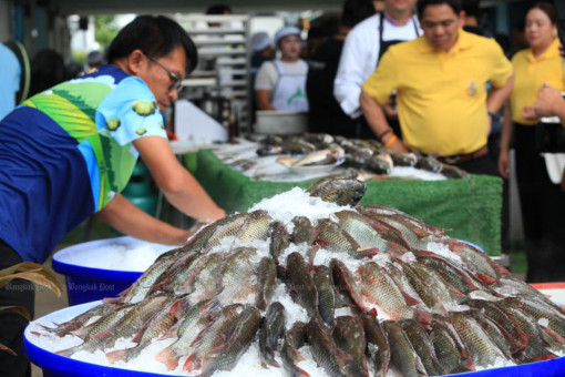 5 firms deny exporting invasive fish