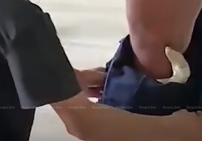 Cobra slips into trainer’s pants during school lesson