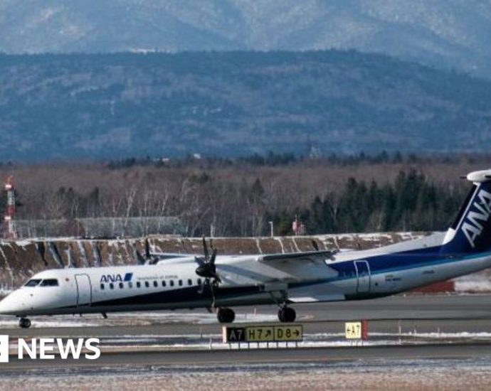 Flights cancelled in Japan after scissors go missing