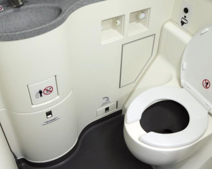 Irresponsible or necessary? Viral video of passengers locking up crying toddler in airplane toilet sparks debate in China