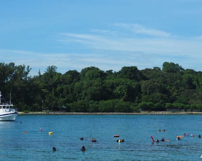 Man admits to cycling nude on Lazarus Island, flashing students at NTU, NUS
