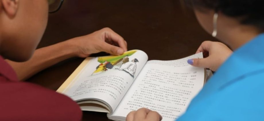 NDR 2024: In push for bilingualism, more students to be allowed to study Higher Mother Tongue in secondary schools