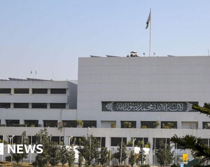 Pakistan parliament seeks pest control for rat infestation