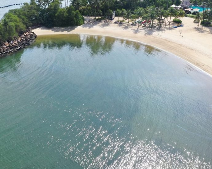 Palawan Beach at Sentosa reopens for water activities after oil spill cleanup
