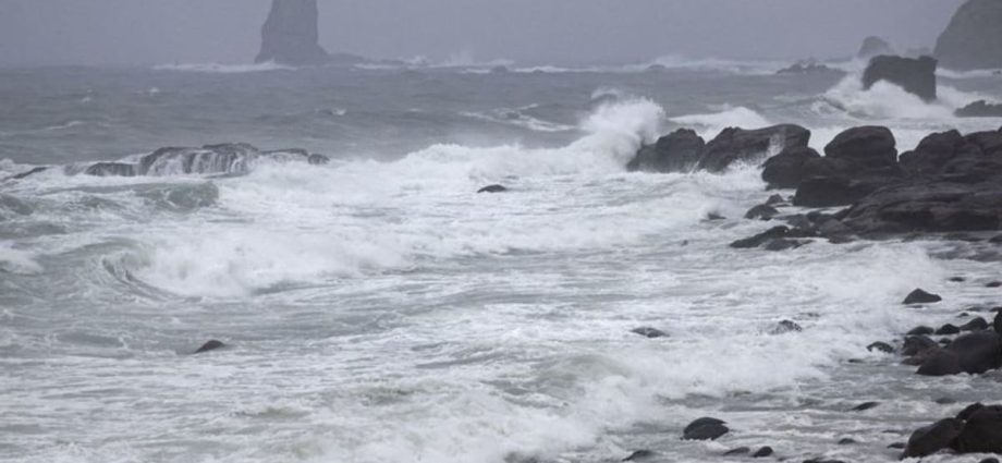 Powerful Typhoon Shanshan slams into southern Japan