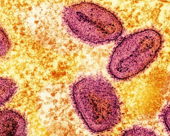 Singapore steps up precautionary measures against mpox at air, sea checkpoints