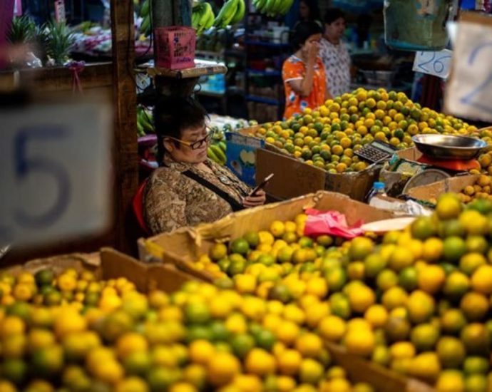 Thai economy is nearly in crisis, caretaker finance minister says