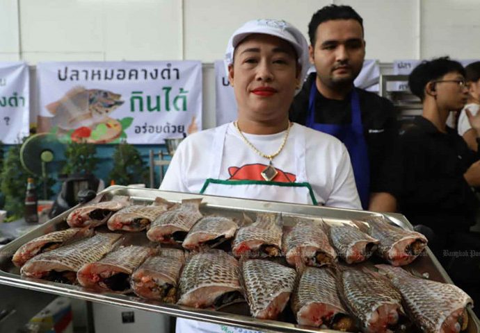 Thai lawyers to sue over tilapia invasion