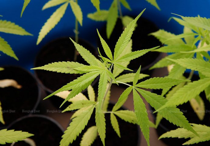 Travellers told not to smuggle pot