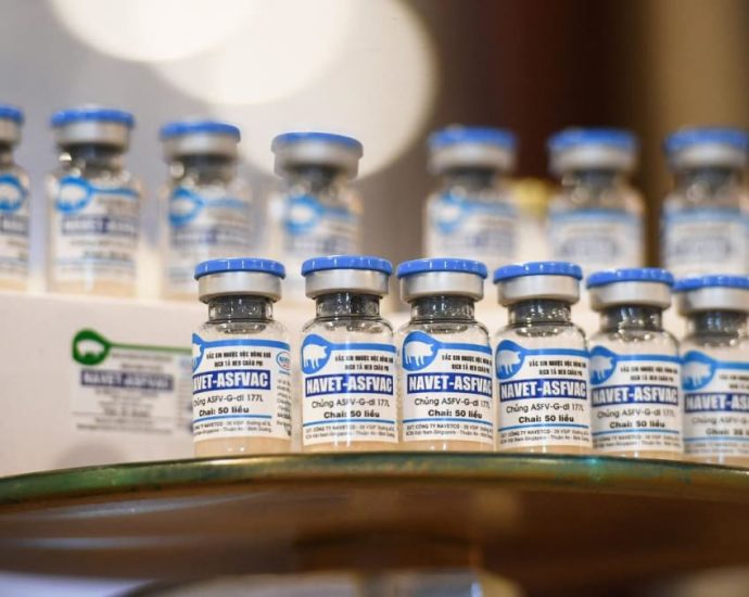 Vietnam to send its swine fever vaccine to Philippines