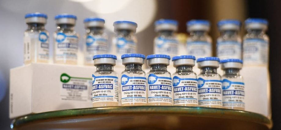 Vietnam to send its swine fever vaccine to Philippines