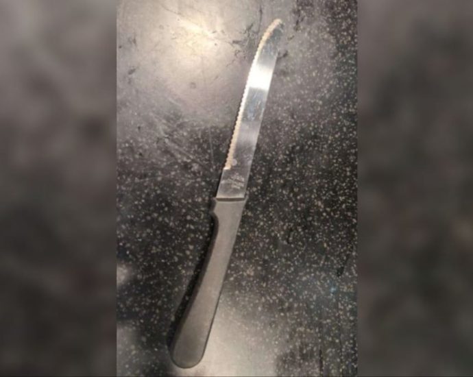 Woman charged with trying to rob diner at Han’s Restaurant while armed with knife