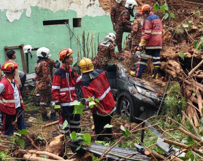 2 tourists from China die after tree falls on car at Penang attraction