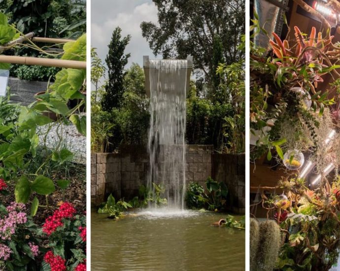 An edible garden, waterfall and ‘breathing gallery’: Chinese and Japanese gardens reopen with new attractions