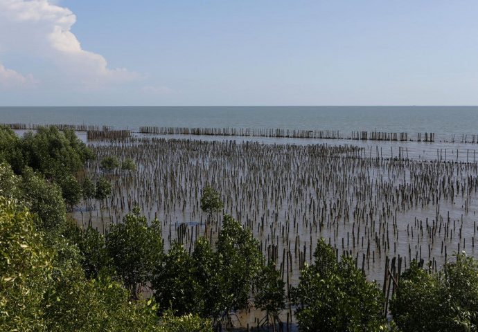 Call to fill in sea areas to combat erosion