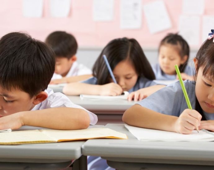 Commentary: Gifted students in focus, but what about those with learning difficulties?