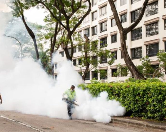 Commentary: What will it take to eliminate dengue deaths in Singapore?