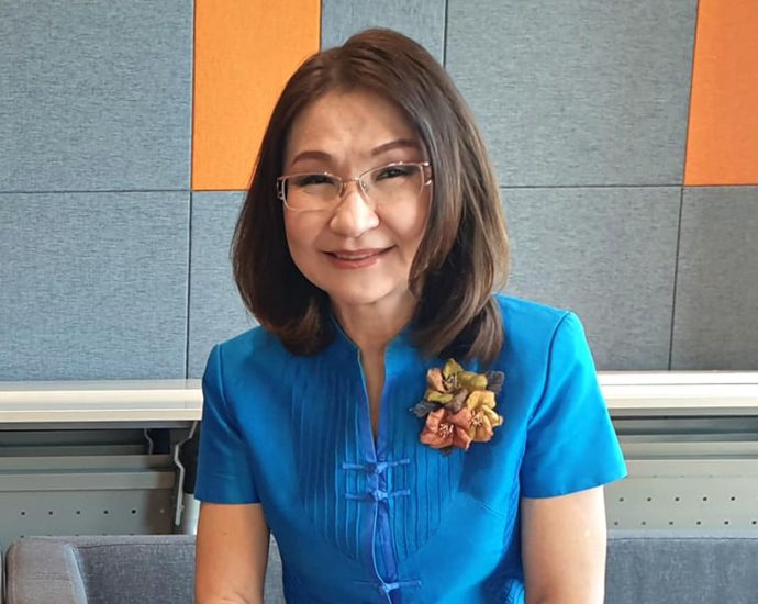 Concern voiced over emerging “Upper House dictatorship”