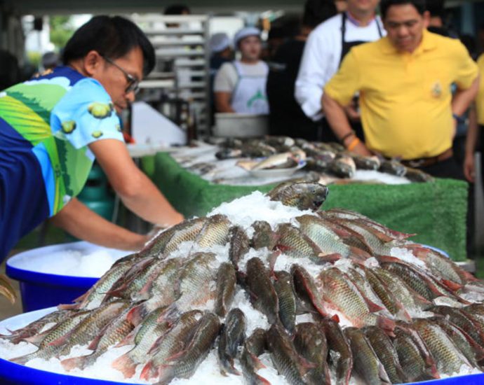 Fishermen sue CPF over blackchin tilapia invasion