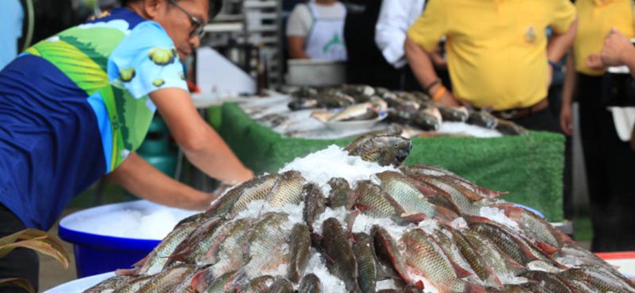 Fishermen sue CPF over blackchin tilapia invasion