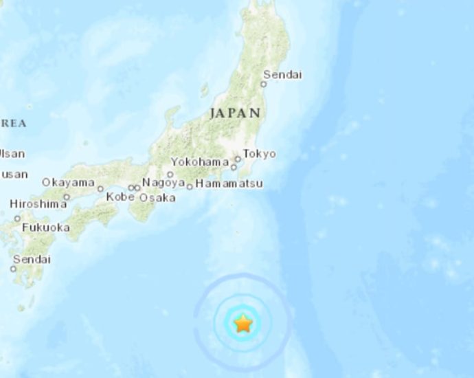 Japan’s remote Izu islands hit by small tsunami after 5.9 magnitude earthquake