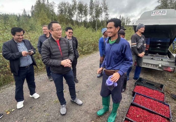 Labour Ministry visits berry pickers in Sweden