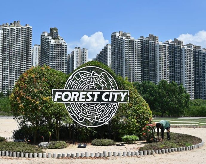 Malaysia dangles 0% tax carrot to draw family offices to Forest City special financial zone, outlines other incentives