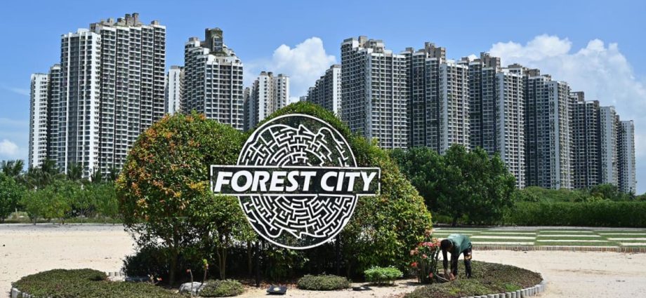 Malaysia dangles 0% tax carrot to draw family offices to Forest City special financial zone, outlines other incentives