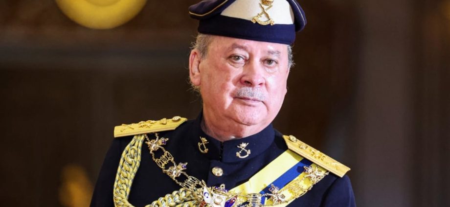 Malaysian king Sultan Ibrahim to make state visit to China, eyes infrastructure support